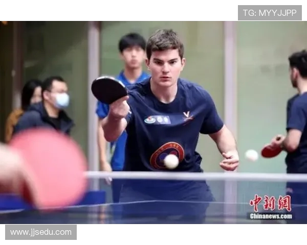 乒乓球运动的历史发展与技术演变探析从基础到竞技的全面解读