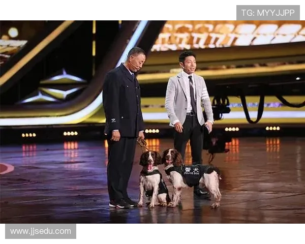 与黄伟畅谈排球生涯的辉煌与挑战之路