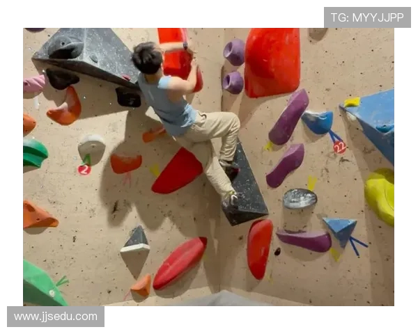 杭州攀岩队与上海攀岩队赛后战术分析与总结探讨