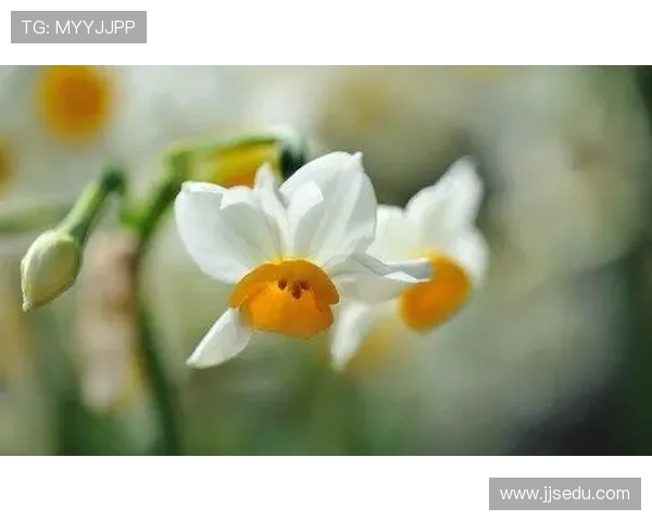 吕俊虎的奋斗历程与成就探秘：从平凡到卓越的励志故事